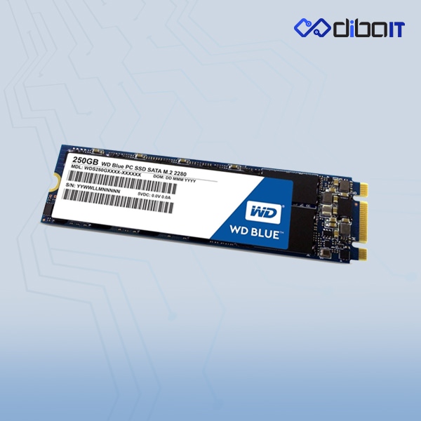 حافظه SSD وسترن دیجیتال مدل BLUE WDS250G2B0B ظرفیت 250 گیگابایت